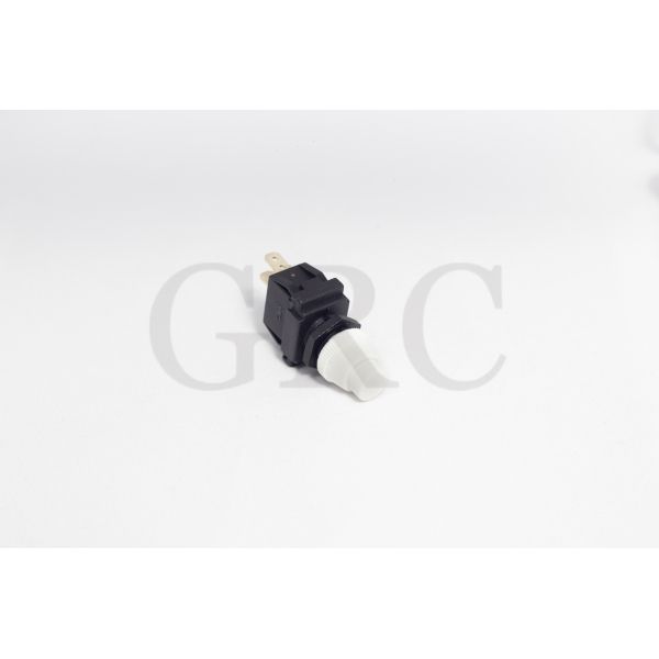 INTERRUPTOR PUSHBUTTON 16123-A1BB2BE2GAA AA