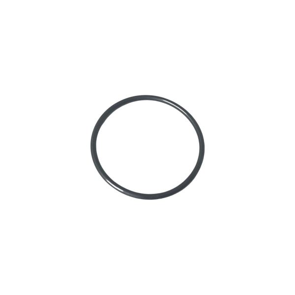 ANEL ORING 6-048