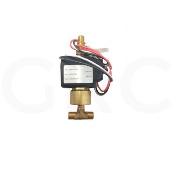 KIT VALVULA SOLENOIDE AUTOCLAVE 100/220V 19W