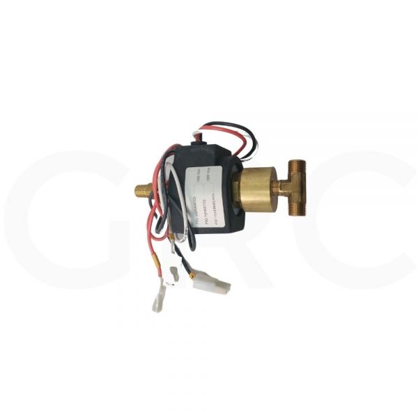 KIT VALVULA SOLENOIDE AUTOCLAVE 100/220V 19W