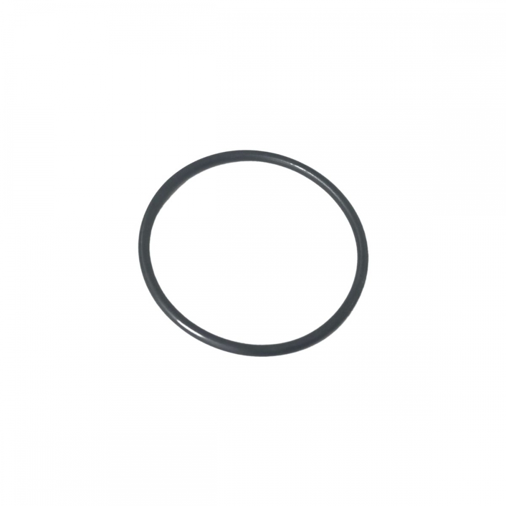 ANEL ORING 6-048