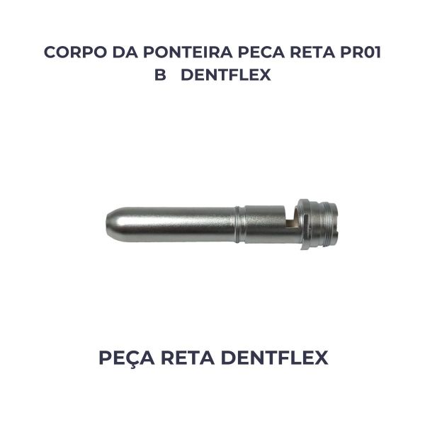 CORPO DA PONTEIRA PECA RETA PR01 B  DENTFLEX