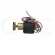 KIT VALVULA SOLENOIDE AUTOCLAVE 100/220V 19W